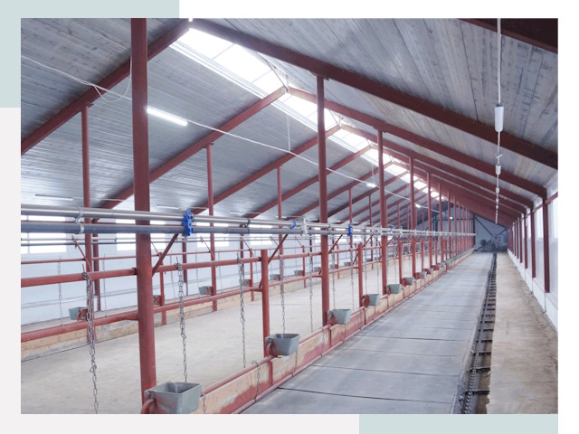 Строительство коровников в Холмске от 616 руб.