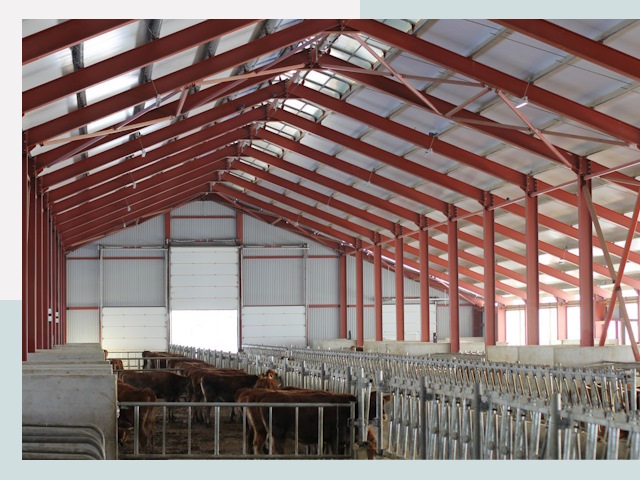 Строительство коровников в Холмске