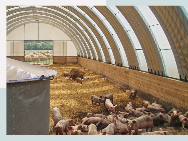 Строительство свинарников в Холмске