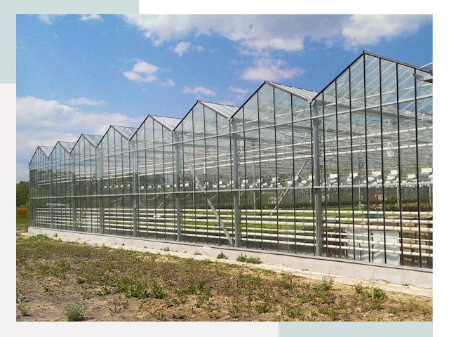Строительство теплиц в Холмск от 616 руб. за м²