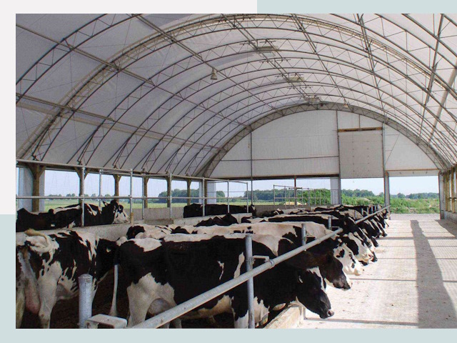 Тентовые коровники в Холмске